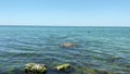 Black cormorant flies over the Black Sea on a summer day, Ukraine