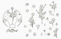 Black cotton logo collection with leaves,geometric.Vector illustration for icon,logo,sticker,printable and tattoo