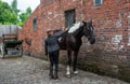 The Black Country Museum, lady in period costume grooming a horse.