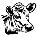 Black cow silhouette drawn in various lines. Flat style. The design is suitable for the logo of an animal head Royalty Free Stock Photo