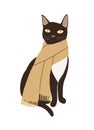 Black cozy kitten with a yellow scarf, warm clothing.