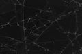 Black cracked glass texture background. Crack on the glass. Broken screen. Broken dark phone.  White cracks in glass Royalty Free Stock Photo