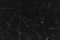 Black cracked glass texture background. Crack on the glass. Broken screen. Broken dark phone. White cracks in glass