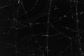 Black cracked glass texture background. Crack on the glass. Broken screen. Broken dark phone. White cracks in glass