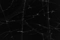 Black cracked glass texture background. Crack on the glass. Broken screen. Broken dark phone. White cracks in glass