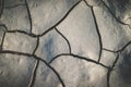 Cracks on the surface of the earth are altered by the shrinkage of mud due to drought conditions of the terrain. Royalty Free Stock Photo