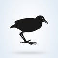 Black Crake, South Africa. flat style. Vector illustration icon isolated on white background