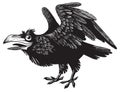 Black crazy cartoon raven character design.