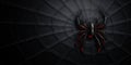 Black Creepy Background with Black Widow Spider, Dark Horror Mockup, Scary Cobweb Pattern