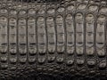 black crocodile leather texture background