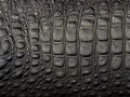 black crocodile leather texture background