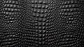 Black crocodile leather texture.