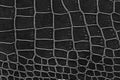 Black of crocodile patterned artificial leather Royalty Free Stock Photo