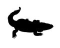 Black crocodile silhouette