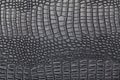 Black crocodile skin texture