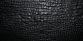 Black crocodile skin texture Royalty Free Stock Photo