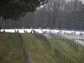 Black crosses in the snow on the German cemetery in Ysselstein the Netherlands