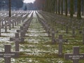 Black crosses in the snow on the German cemetery in Ysselstein the Netherlands