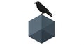 Crow Corvus is perched on top of a three dimensional dark gray Royalty Free Stock Photo