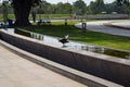 Black crow drinking water from the water pond inside National War Memorial in Delhi India