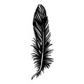 black crow feather Royalty Free Stock Photo