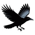 Black Crow in Flight with Spread Wings Royalty Free Stock Photo
