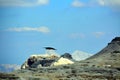 Black crow flying in the mountains Royalty Free Stock Photo