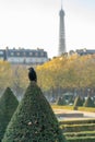 black crow on the left located in the garden of the invalids in Paris.  Eiffel tower on the right. Royalty Free Stock Photo