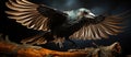 Black crow with open wings on a dark background