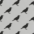 Black Crow Silhouette Pattern Royalty Free Stock Photo