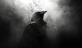 A black crow is standing in front of a cloud of smoke Royalty Free Stock Photo