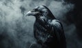 A black crow is standing in front of a cloud of smoke Royalty Free Stock Photo