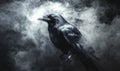 A black crow is standing in front of a cloud of smoke Royalty Free Stock Photo