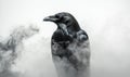 A black crow is standing in front of a cloud of smoke Royalty Free Stock Photo