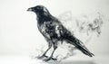 A black crow is standing in front of a white background Royalty Free Stock Photo