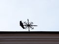 black crow on a weather vane on the roof Royalty Free Stock Photo