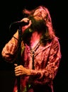 The Black Crowes Perform Royalty Free Stock Photo