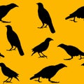 Black crows on orange background. Birds silhouette. Seamless pattern Royalty Free Stock Photo