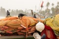 Black crows sit on orange fishing nets Royalty Free Stock Photo