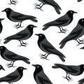 Black crows seamless pattern