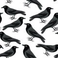 Black crows seamless pattern. Vector illustration on white background Royalty Free Stock Photo