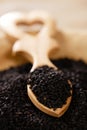 Black cumin or caraay or onion seeds Royalty Free Stock Photo