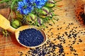 Black Cumin field , Nigella Sativa Royalty Free Stock Photo