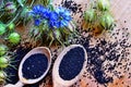 Black Cumin field , Nigella Sativa Royalty Free Stock Photo