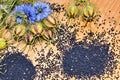 Black Cumin field , Nigella Sativa