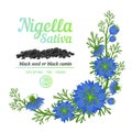 Black cumin or Nigella Sativa cosmetic label. Blue flowers and seeds with buds and leaves. Vector design elements