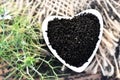 Black cumin nigella sativa or kalonji seeds in heart-shaped bowl