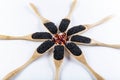 Black cumin oil pill. Nigella sativa or Black cumin with spoons top view Royalty Free Stock Photo