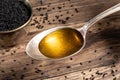 Black cumin seed oil on a spoon with black cumin seeds Royalty Free Stock Photo