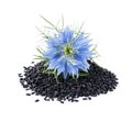 Black cumin seeds with nigella sativa flower Royalty Free Stock Photo